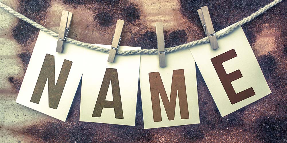 article-name