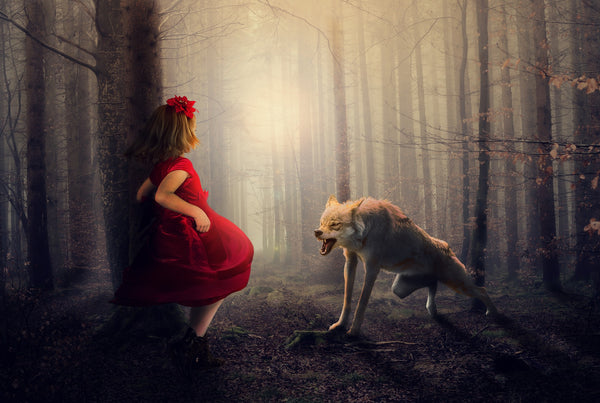 The Big Bad Wolf of Examples