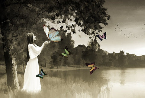 Inspire your imagination 